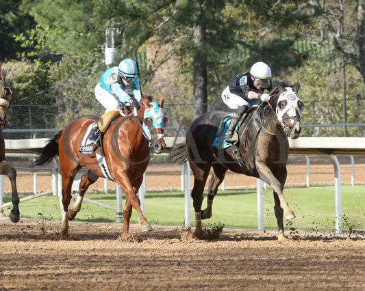 Masqueparade - The Temperence Hill Stakes 5Th Running 03 - 29 - 24 R09 Op Turn 03 Oaklawn Park