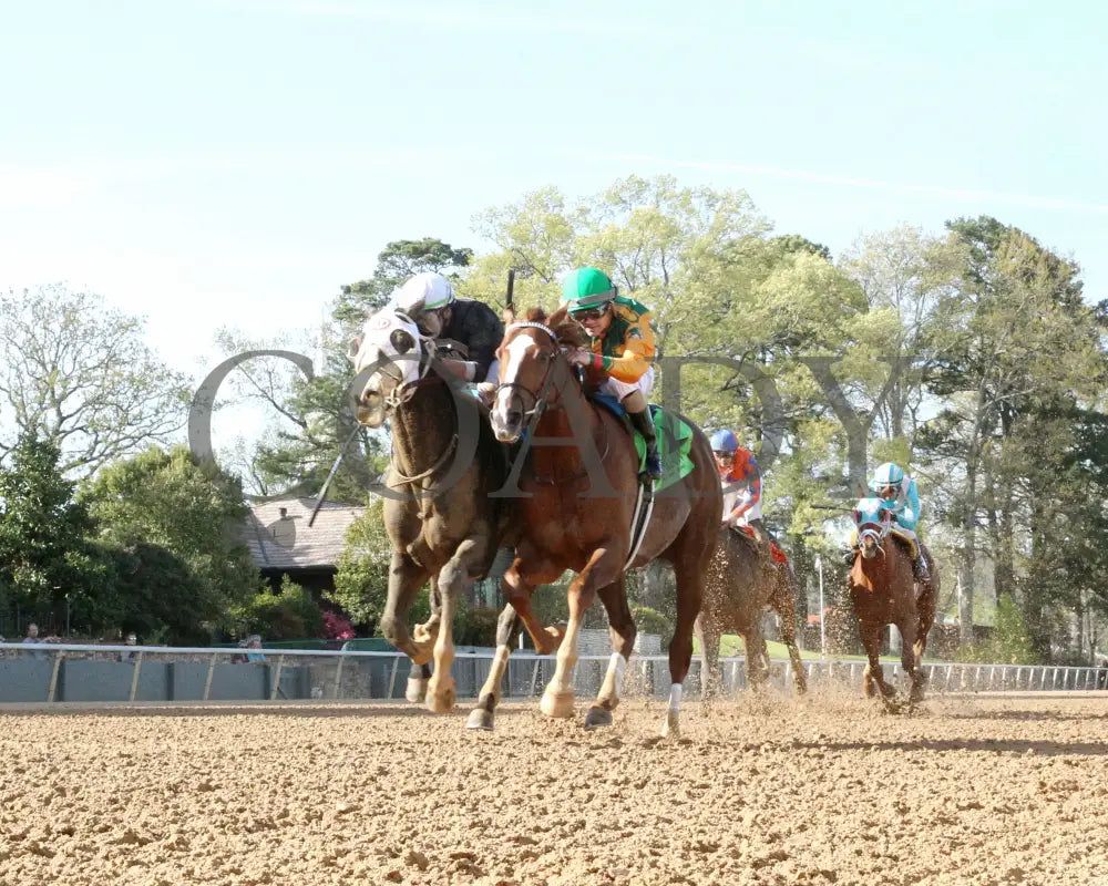Masqueparade - The Temperence Hill Stakes 5Th Running 03 - 29 - 24 R09 Op Under Rail 01 Oaklawn Park