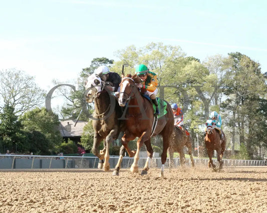 Masqueparade - The Temperence Hill Stakes 5Th Running 03 - 29 - 24 R09 Op Under Rail 01 Oaklawn Park