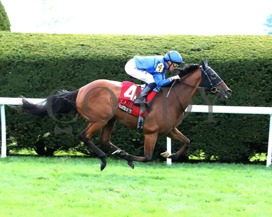 Master Of The Seas - Maker’s Mark Mile (G1) 36Th Running 04 - 12 - 24 R09 Kee Finish 01 Keeneland