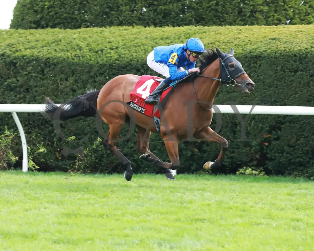 Master Of The Seas - Maker’s Mark Mile (G1) 36Th Running 04 - 12 - 24 R09 Kee Finish 05 Keeneland