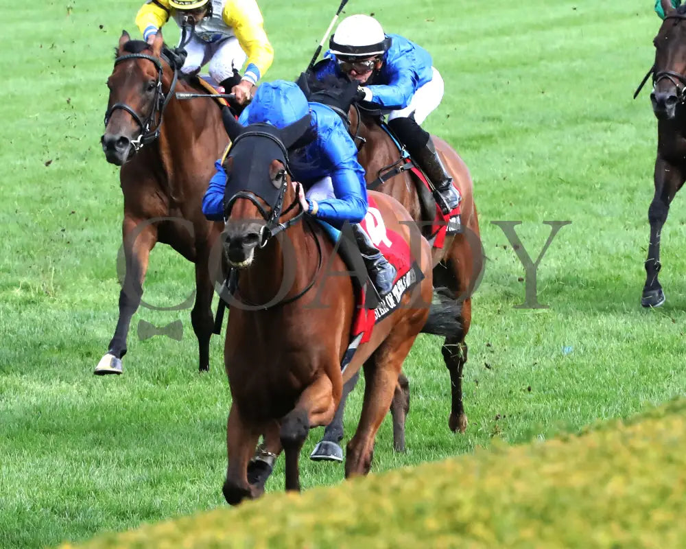 Master Of The Seas - Maker’s Mark Mile (G1) 36Th Running 04 - 12 - 24 R09 Kee Inside Finish 01