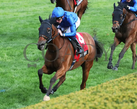Master Of The Seas - Maker’s Mark Mile (G1) 36Th Running 04 - 12 - 24 R09 Kee Inside Finish 02