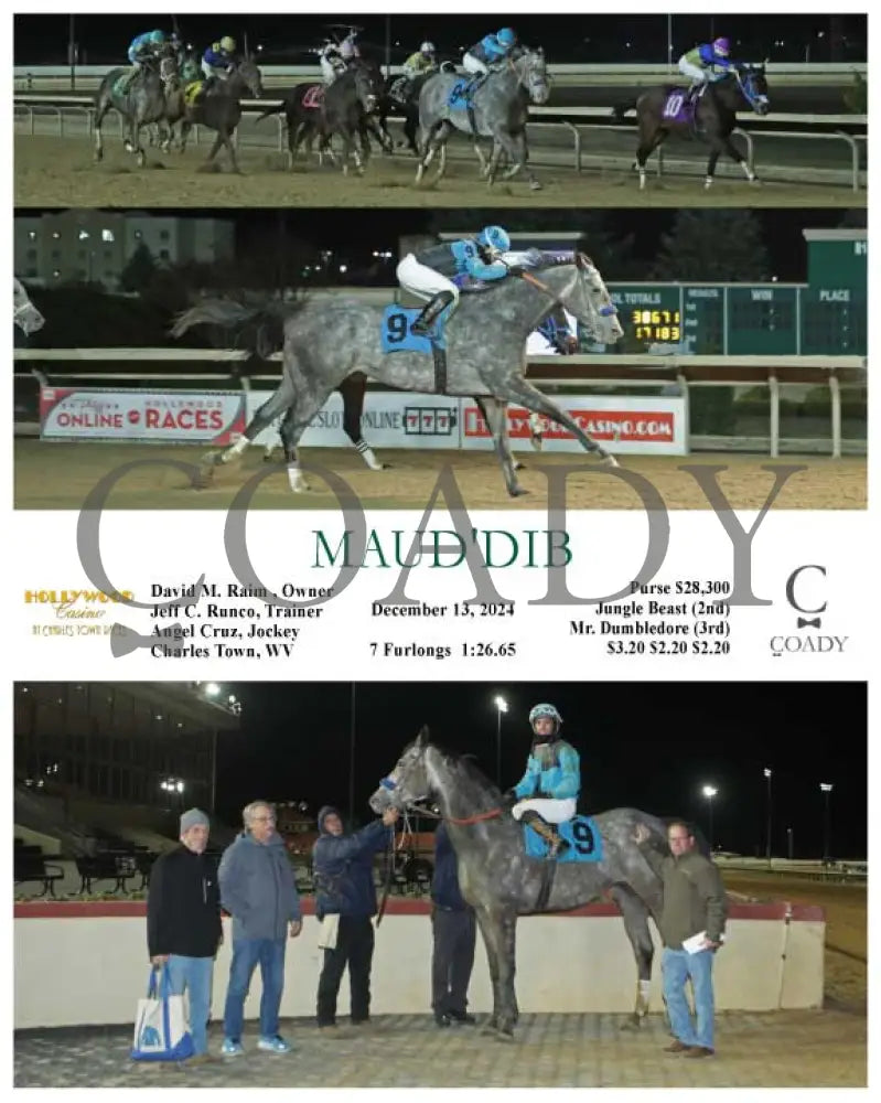 Maud’dib - 12-13-24 R08 Ct Hollywood Casino At Charles Town Races