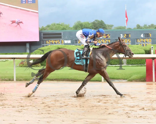MAX GOT EXCITED - The Bachelor Stakes - 38th Running - 05-02-25 - R11 - OP - Finish 01 Oaklawn Park