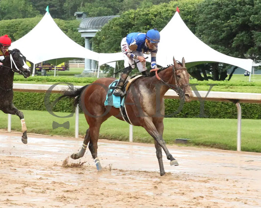 MAX GOT EXCITED - The Bachelor Stakes - 38th Running - 05-02-25 - R11 - OP - Finish 03 Oaklawn Park