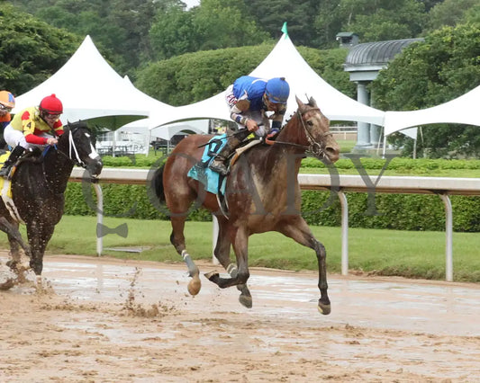 MAX GOT EXCITED - The Bachelor Stakes - 38th Running - 05-02-25 - R11 - OP - Finish 02 Oaklawn Park
