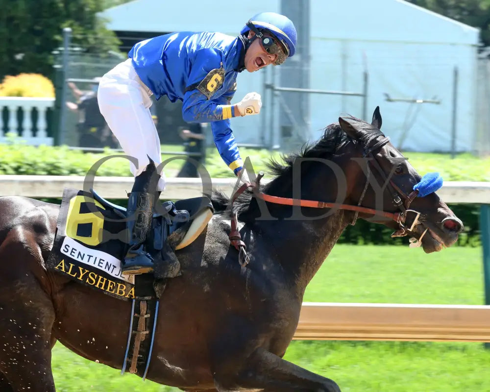 Maxfield - The Alysheba G2 18Th Running 04-30-21 R06 Cd Celebration 01 Kentucky Derby