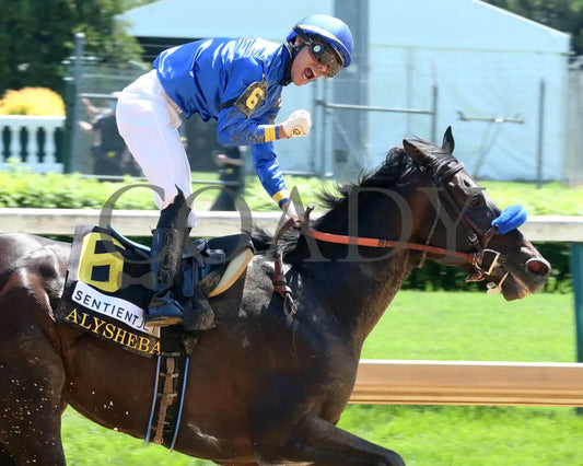 Maxfield - The Alysheba G2 18Th Running 04-30-21 R06 Cd Celebration 01 Kentucky Derby