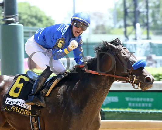 Maxfield - The Alysheba G2 18Th Running 04-30-21 R06 Cd Celebration 02 Churchill Downs