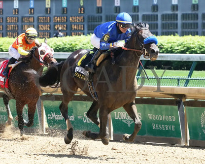 Maxfield - The Alysheba G2 18Th Running 04-30-21 R06 Cd Finish 02 Churchill Downs