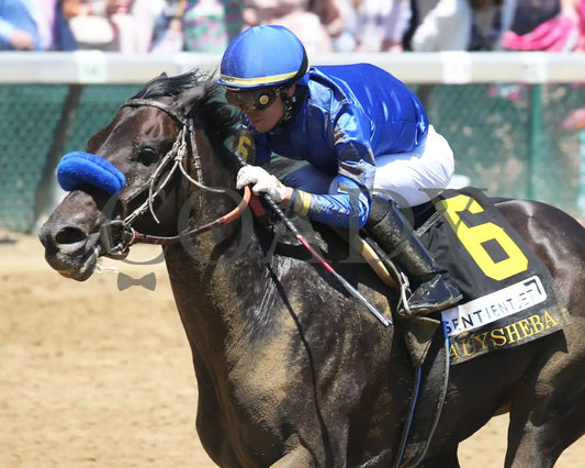 Maxfield - The Alysheba G2 18Th Running 04-30-21 R06 Cd Inside Finish 01 Churchill Downs