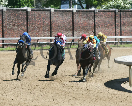 Maxfield - The Alysheba G2 18Th Running 04-30-21 R06 Cd Turn 01 Churchill Downs