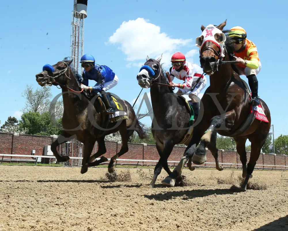 Maxfield - The Alysheba G2 18Th Running 04-30-21 R06 Cd Turn Remote 01 Churchill Downs