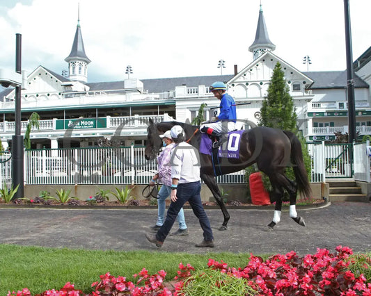 Maxfield - The Matt Winn G3 23Rd Running 05-23-20 R10 Cd Paddock 01 Churchill Downs