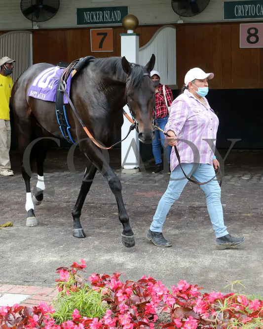Maxfield - The Matt Winn G3 23Rd Running 05-23-20 R10 Cd Paddock 04 Churchill Downs