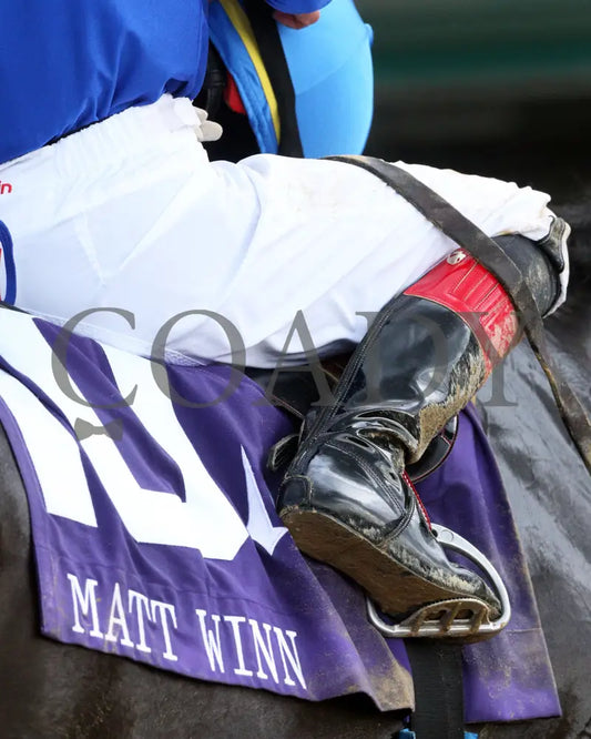 Maxfield - The Matt Winn G3 23Rd Running 05-23-20 R10 Cd Scenic 01 Churchill Downs