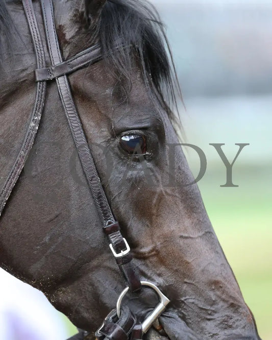 Maxfield - The Matt Winn G3 23Rd Running 05-23-20 R10 Cd Scenic 02 Churchill Downs