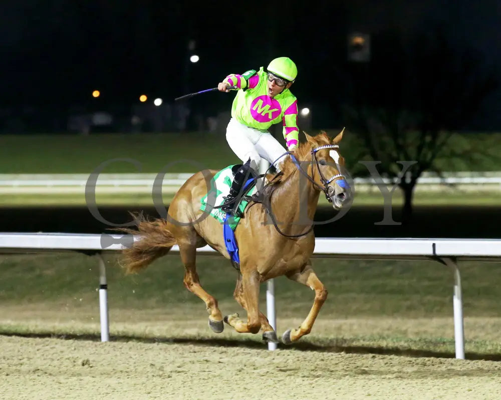 Maxisuperfly - The Cincinnati Trophy 42Nd Running 03-01-24 R06 Tp Finish 02 Turfway Park