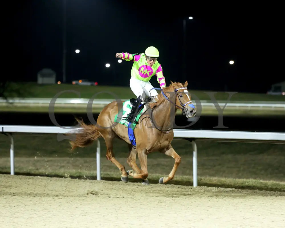 Maxisuperfly - The Cincinnati Trophy 42Nd Running 03-01-24 R06 Tp Finish 04 Turfway Park
