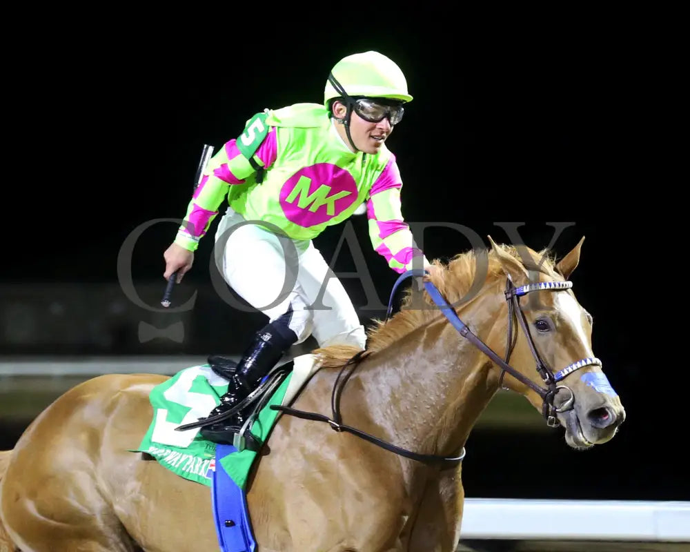 Maxisuperfly - The Cincinnati Trophy 42Nd Running 03-01-24 R06 Tp Finish 03 Turfway Park