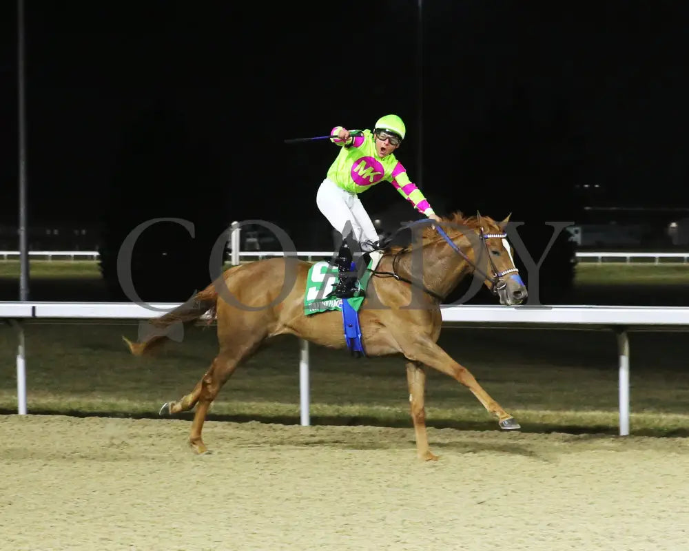 Maxisuperfly - The Cincinnati Trophy 42Nd Running 03-01-24 R06 Tp Finish 01 Turfway Park