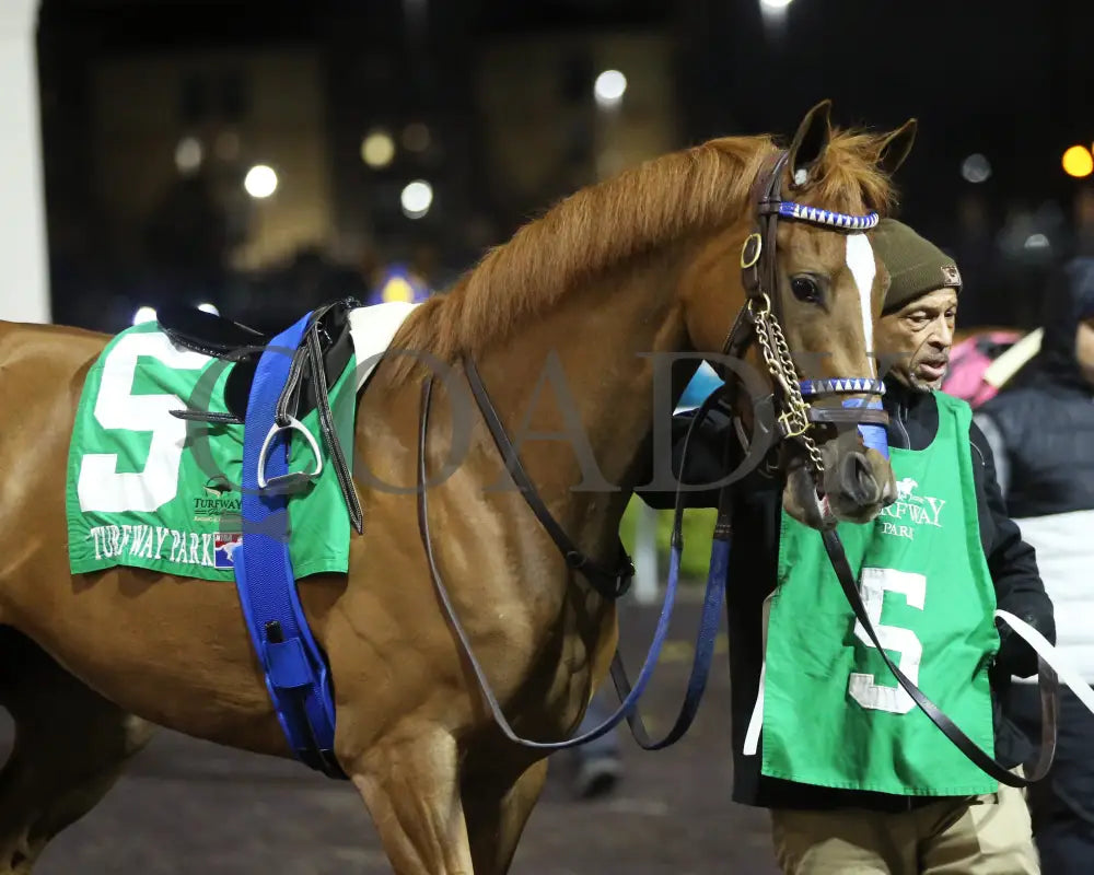 Maxisuperfly - The Cincinnati Trophy 42Nd Running 03-01-24 R06 Tp Paddock 02 Turfway Park