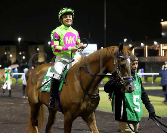 Maxisuperfly - The Cincinnati Trophy 42Nd Running 03-01-24 R06 Tp Paddock 01 Turfway Park