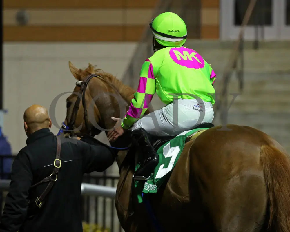 Maxisuperfly - The Cincinnati Trophy 42Nd Running 03-01-24 R06 Tp Post Race 03 Turfway Park