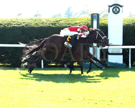 May Day Ready - The Jessamine G2 10-04-24 R08 Keeneland Race Course Finish 01
