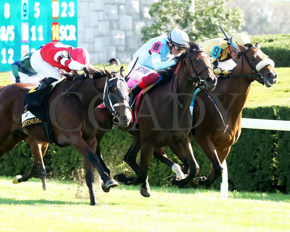 May Day Ready - The Jessamine G2 10-04-24 R08 Keeneland Race Course Finish 02
