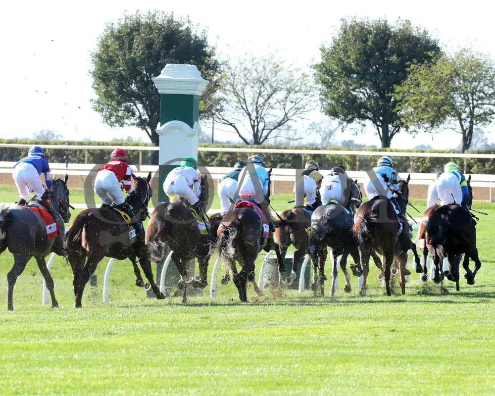 May Day Ready - The Jessamine G2 10-04-24 R08 Keeneland Race Course First Turn 01