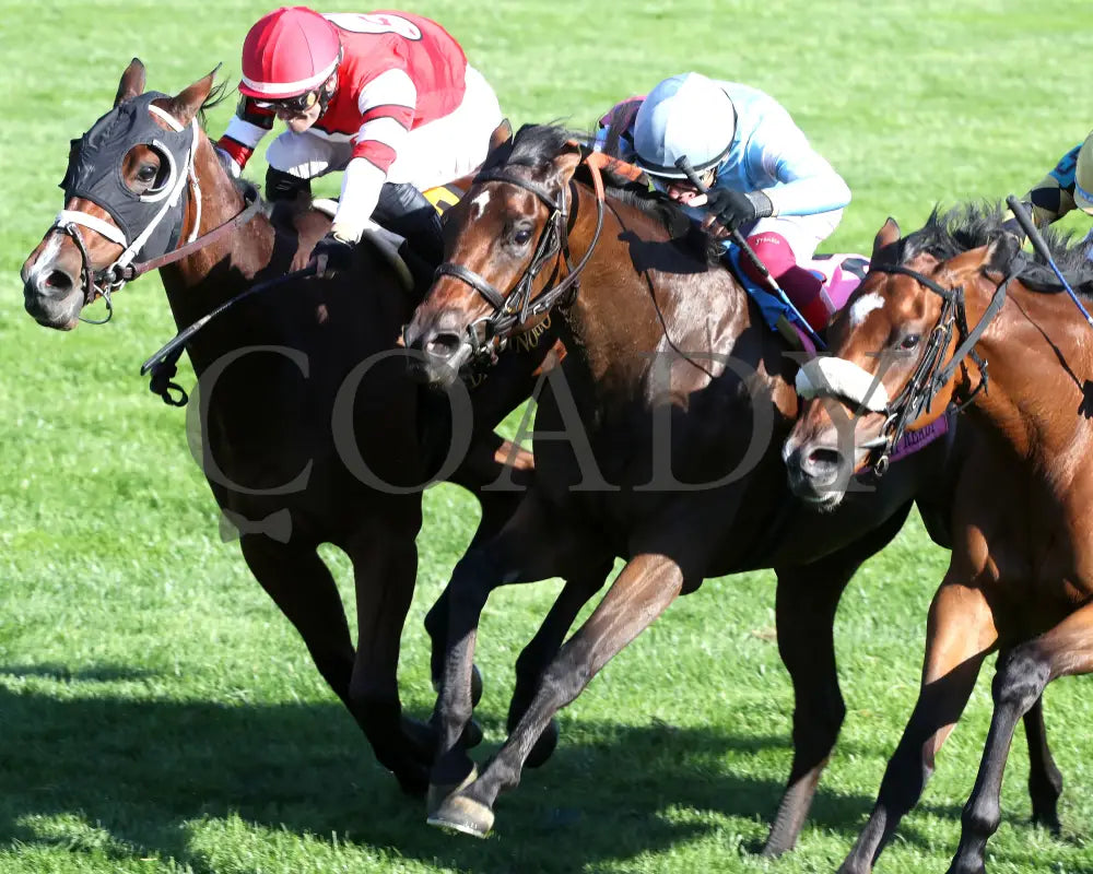 May Day Ready - The Jessamine G2 10-04-24 R08 Keeneland Race Course Inside Finish 01