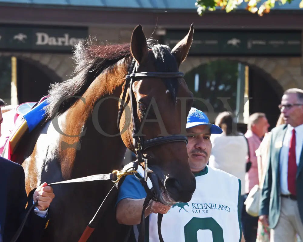 Open R08 File MAY DAY READY - The Jessamine G2 - 10-04-24 - R08 - Keeneland Race Cou ...