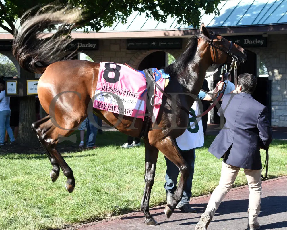 May Day Ready - The Jessamine G2 10-04-24 R08 Keeneland Race Course Paddock 02