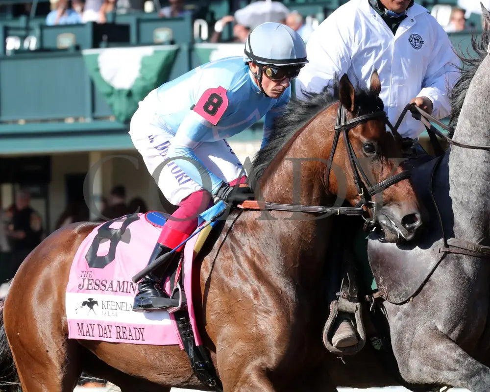 May Day Ready - The Jessamine G2 10-04-24 R08 Keeneland Race Course Post Parade 02