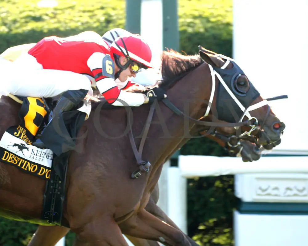 May Day Ready - The Jessamine G2 10-04-24 R08 Keeneland Race Course Tight Finish 01