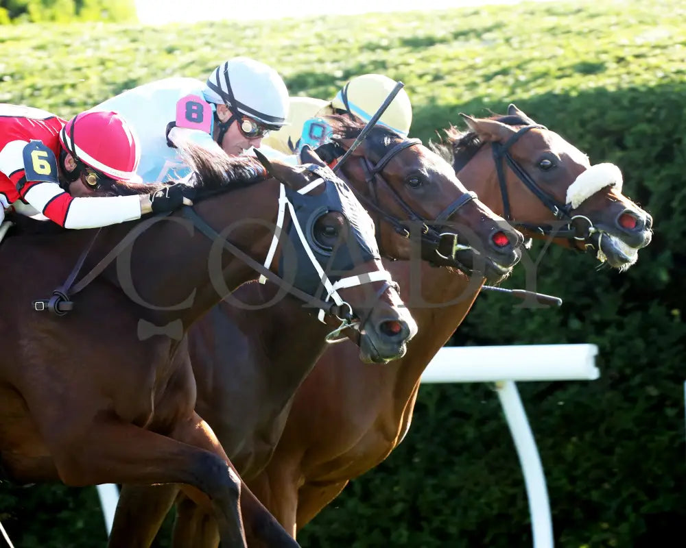 May Day Ready - The Jessamine G2 10-04-24 R08 Keeneland Race Course Tight Finish 02