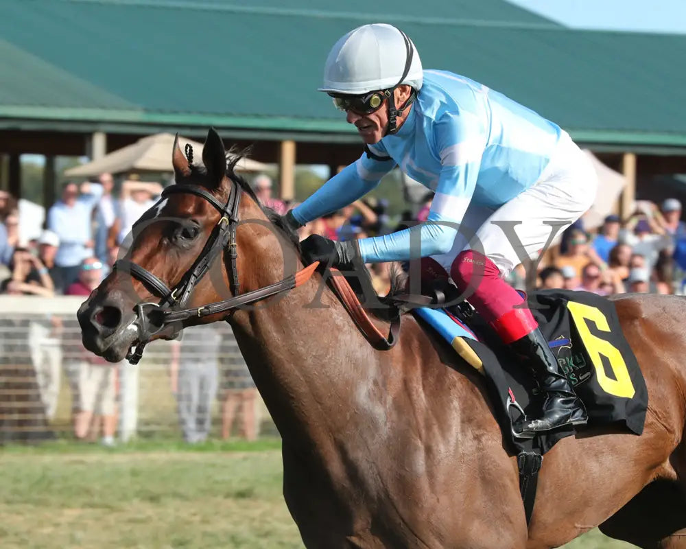 May Day Ready - The Kentucky Downs Juvenile Fillies 09-08-24 R09 Kd Inside Finish 01