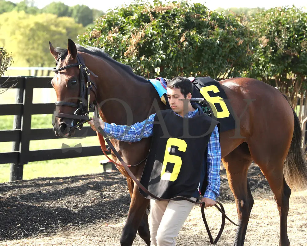 May Day Ready - The Kentucky Downs Juvenile Fillies 09-08-24 R09 Kd Paddock 01
