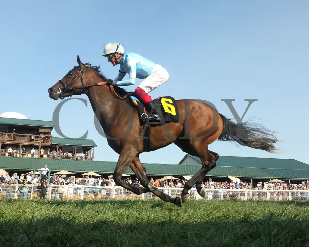 May Day Ready - The Kentucky Downs Juvenile Fillies 09-08-24 R09 Kd Under Rail 03