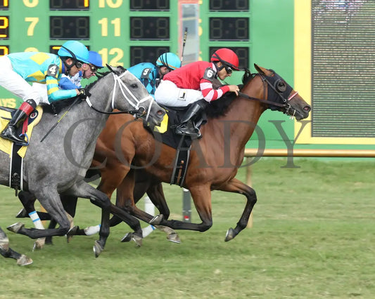 May Lily - Kentucky Downs Preview Ladies Sprint 1St Running 08-04-19 R06 Elp Finish 01 Ellis Park