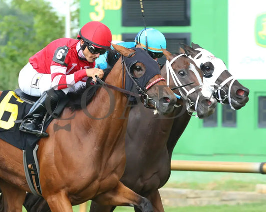 May Lily - Kentucky Downs Preview Ladies Sprint 1St Running 08-04-19 R06 Elp Finish 02 Ellis Park