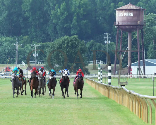 May Lily - Kentucky Downs Preview Ladies Sprint 1St Running 08-04-19 R06 Elp Head On 01 Ellis Park