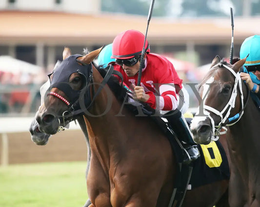 May Lily - Kentucky Downs Preview Ladies Sprint 1St Running 08-04-19 R06 Elp Inside Finish 01 Ellis