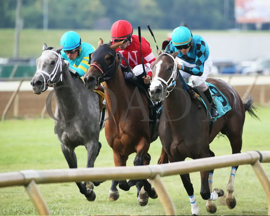 May Lily - Kentucky Downs Preview Ladies Sprint 1St Running 08-04-19 R06 Elp Inside Finish 02 Ellis