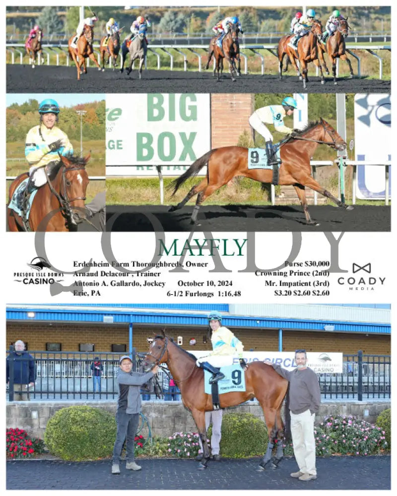 Mayfly - 10-10-24 R05 Pid Presque Isle Downs