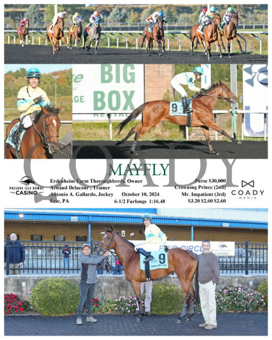 Mayfly - 10-10-24 R05 Pid Presque Isle Downs