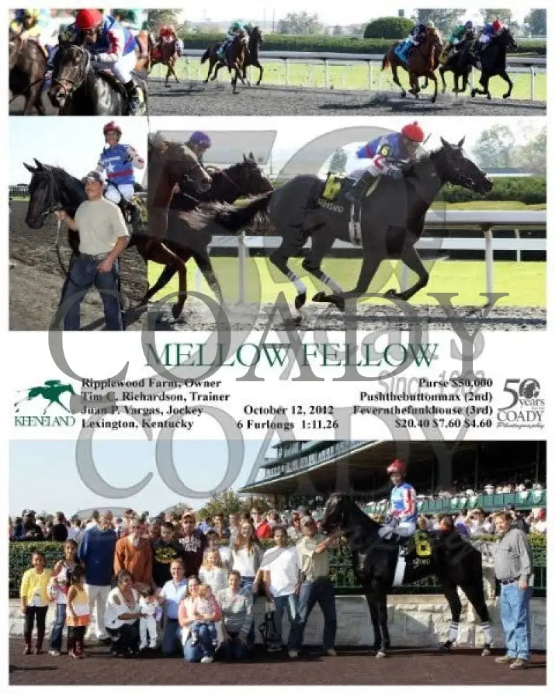 Mellow Fellow - 101212 Race 06 Keeneland