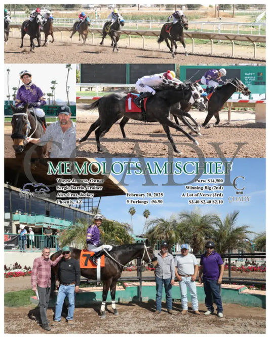 MEMOLOTSAMISCHIEF - 02-20-25 - R02 - TUP Turf Paradise
